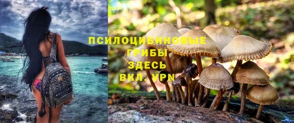 кокаин перу Инсар