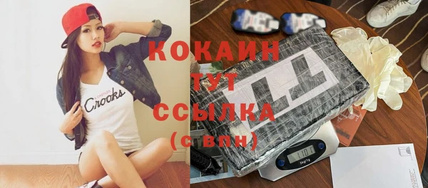 сатива Каменск-Шахтинский