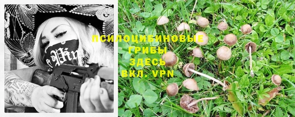 MDMA Каменка